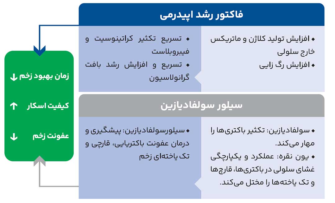 کرم ترمیم‌کننده زخم برنامین